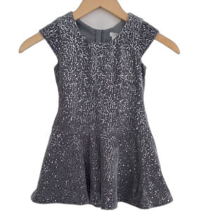 Girls Joe Fresh Silver Sparkle Holiday Sequins Skater Line Dress Size XS/TP 4-5